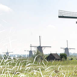 wind-mill-park-must-see-rotterdam-excursion-dutch-matters-255